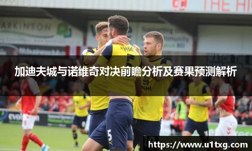加迪夫城与诺维奇对决前瞻分析及赛果预测解析
